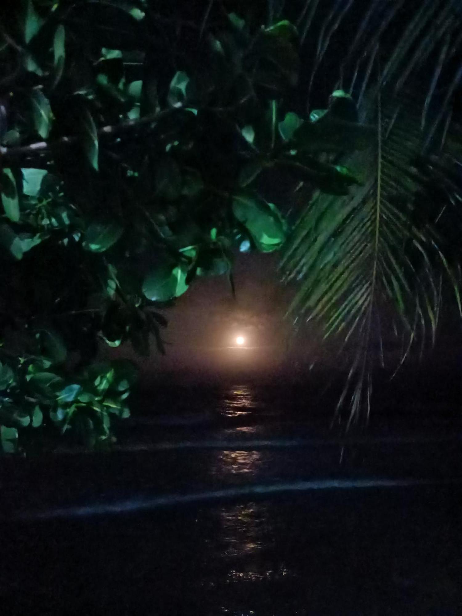 Aal Homestay Sabang  Exteriér fotografie